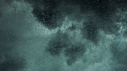 La tormenta Ciarán dejó al momento cinco muertos en Europa.