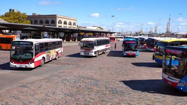 Encuesta sobre transporte público en Montevideo: cómo participar y qué evalúan usuarios
