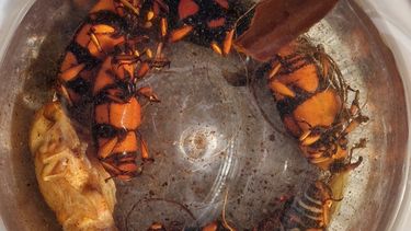 El picudo rojo llegó a San Carlos: encontraron la primera palmera afectada y van 350 en el departamento