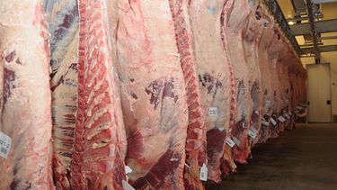 Septiembre tuvo exportaciones récord de carne por 259 millones de dólares