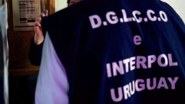Varios condenados tras operaciones contra la pornografía infantil en Uruguay