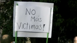 Tras varios accidentes, comenzarán a retirar a los caballos que están sueltos en la vía pública