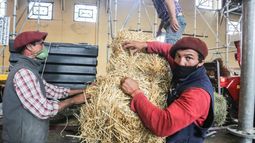 Colonización invertirá unos US$ 9 millones en electrificación rural