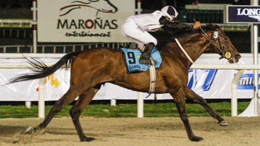 Este viernes se corre el Gran Premio Ramírez