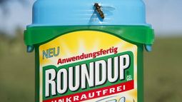 Monsanto perdió juicio millonario contra jardinero con cáncer terminal