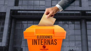 Elecciones internas: ¿Cómo se comportaron los electores de los distintos partidos?