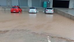 ¿Qué dijo Cosse sobre la inundación de la UAM?