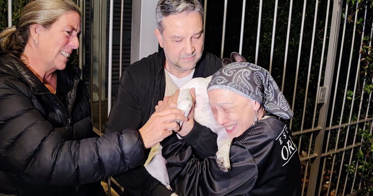 Recuperaron a Darko y volvió con su dueña; se lo habían robado violentamente en el Parque Rodó