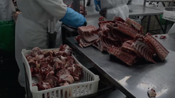 No hay normativa que ampare esta declaración: Mattos descartó la esencialidad en la industria frigorífica