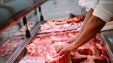 Carniceros tendrán una carrera en UTU para obtener titulación profesional