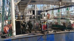 Investigación: podrían aplicar multas por pesca ilegal de buque chino