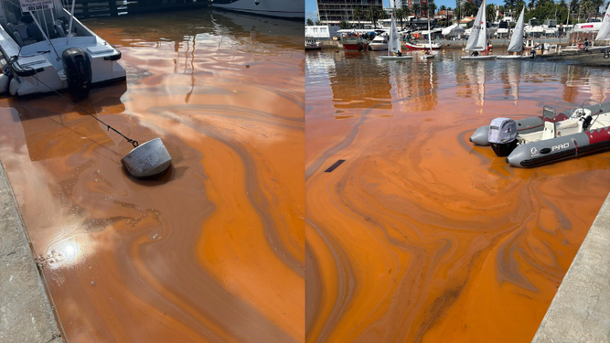 Manchas en el agua.