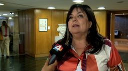 Qué es el suicidio femicida, la figura que la diputada María Inés Obaldía busca incorporar al Código Penal