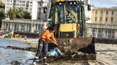 IM retiró más de 13.000 kilos de residuos de fiesta Iemanjá