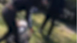 Secundaria inició una investigación tras viralizarse un pelea entre dos alumnas del liceo Alberto Candeau de Paso Carrasco.&nbsp; &nbsp;