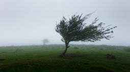 Alerta por vientos y tormentas en Canelones.&nbsp;