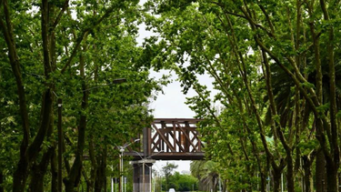 Puente ferroviario de Durazno.