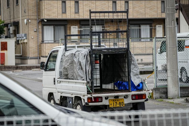 Capturaron al oso que tuvo en vilo a toda una ciudad de Japón durante cuatro días