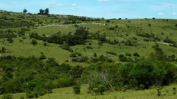 Fideicomiso con bajas tasas de interés beneficiará a cooperativas del sector agropecuario