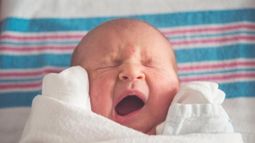 ¿Cómo es la búsqueda de hijos en Uruguay de quienes no logran concebirlos?