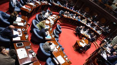 Senado aprobó proyecto de ley de tenencia compartida