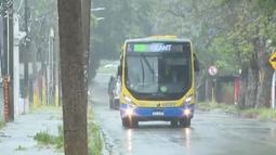 Líneas de UCOT retoman recorrido en Villa Española