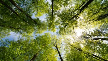 Jueves según Inumet.&nbsp;