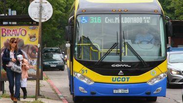 Transportistas rechazan cambios propuestos en la reforma de la seguridad social