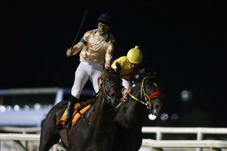 El turf uruguayo coronó a Native Extreme en un Gran Premio Ramírez electrizante 4 Gran Premio Ramírez: