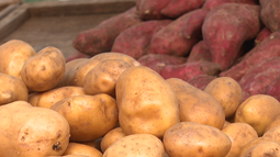 Sequía genera faltante de verduras y aumento de precios