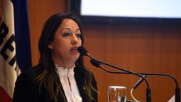 Fernanda Cardona descartó que se eliminen subsidios a la pesca y dijo que el Gobierno busca una solución