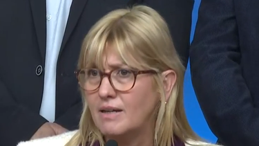 Ley de garantías para la infancia, acuerdo entre partidos