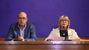 Cristina Lustemberg destacó que, pese a que la ley no le exige exclusividad, Danza dejó sus empleos privados