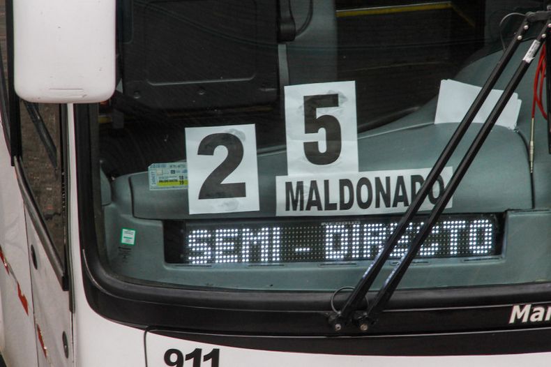 Los servicios de transporte carretero que circulen por la zona afectada por la alerta roja fueron suspendidos