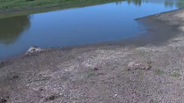 Anuncian medidas para garantizar agua potable en Lavalleja.