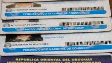 El Poder Ejecutivo firmó el decreto que crea la libreta por puntos, a implementarse en un máximo de 24 meses