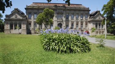 Matilde Antía propuso crear bosque urbano en predio de la Facultad de Veterinaria