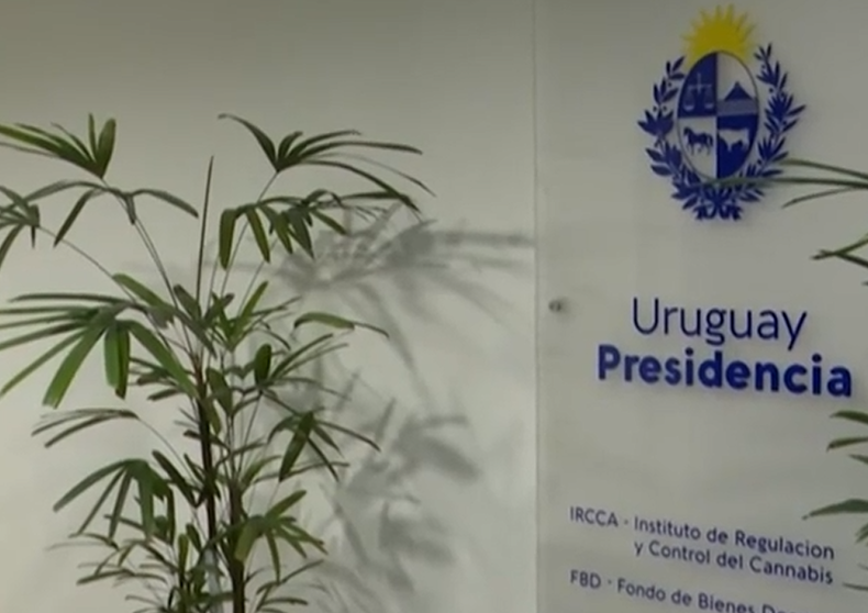 Captura de pantalla 2025-06-26 164230.png