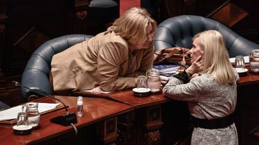 Graciela Bianchi sobre la designación de Beatriz Argimón en la Unesco: Es una desilusión