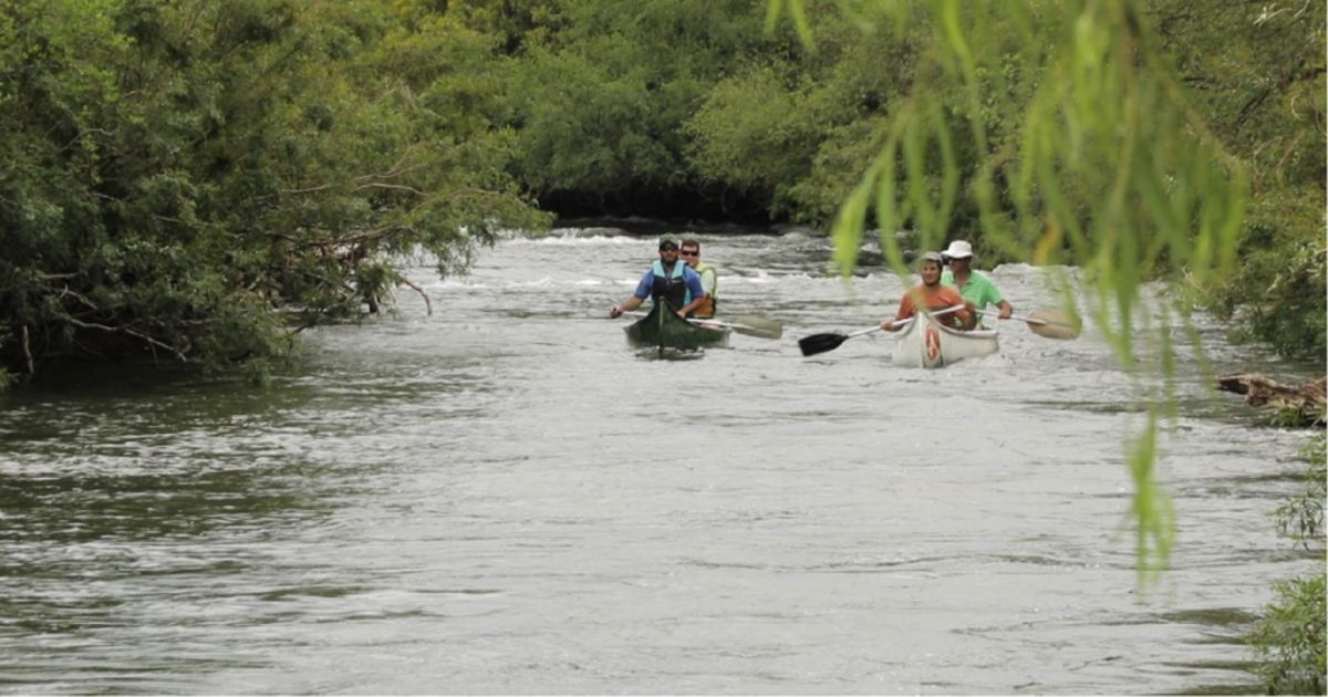 El Ministerio de Ambiente lanzó la campaña 
