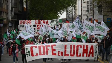 COFE presentará recurso por licencias médicas en sector público.