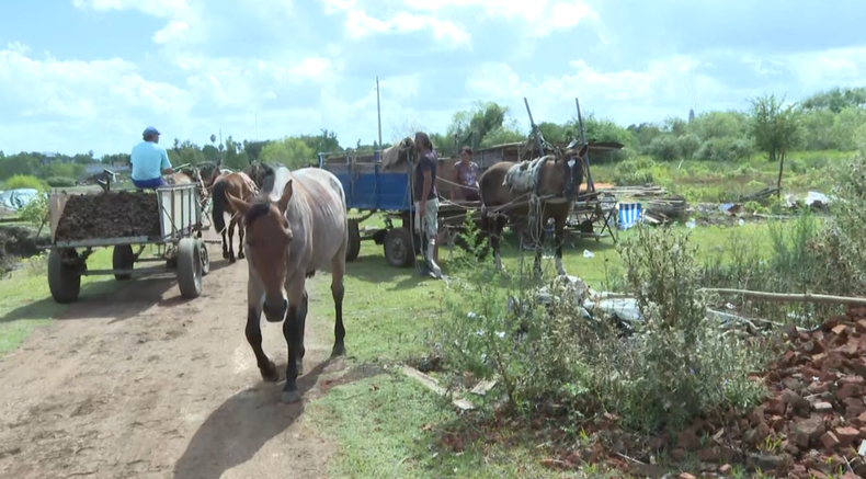 Testigo clave de crimen en Paysandú habló con Telenoche.