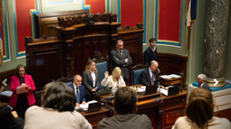 Senado aprobó proyecto de internación de adictos a las drogas.