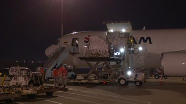 Llegó un nuevo lote de vacunas de Pfizer/BioNTech a Uruguay