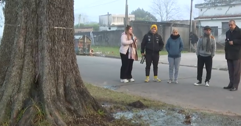 Árbol causó la rotura de cañería de OSE en Flor de Maroñas.