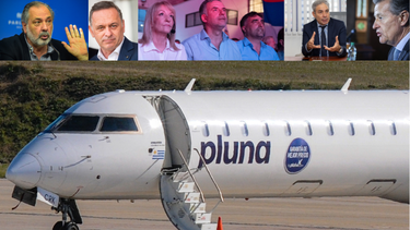 Pluna se metió en la campaña electoral.&nbsp;