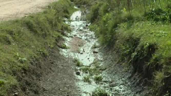 Hallan a una mujer muerta en una cuneta de Villa Pisano