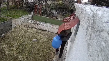 Cayeron los conocidos ladrones de garrafas en Florida.