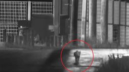Continúa la búsqueda del puma en Villa Tato: analizan posibles huellas del animal