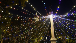 Ómnibus, estacionamiento tarifado y gestión de residuos: ¿Cuándo se normalizan los servicios en la capital?